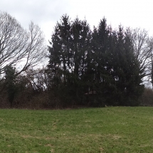 Schuetzenhaus-Panorama Schuetzenhaus-Panorama