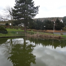 Teich Teich